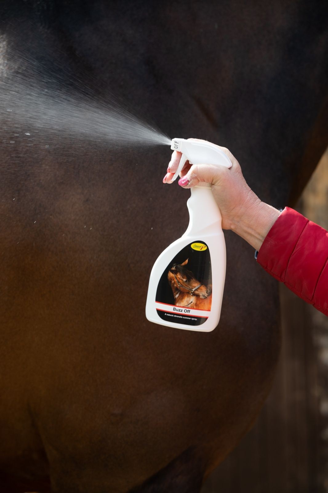 Buzz Off Citronella Spray