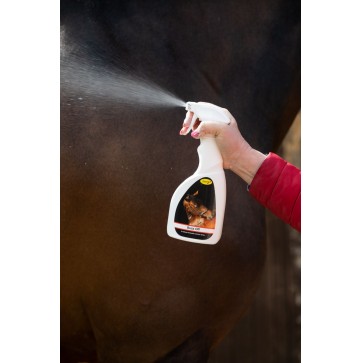 Buzz Off Citronella Spray