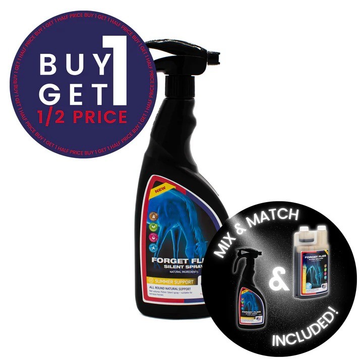 Forget Flies Spray 750ml