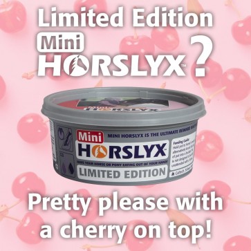 Horslyx Mini Cherry - Limited Edition