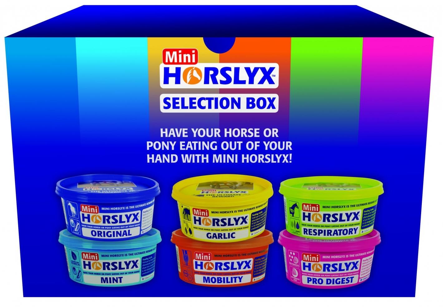 Horslyx Mini Selection Box (6)