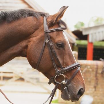 KM Elite Competition Bridle Havana