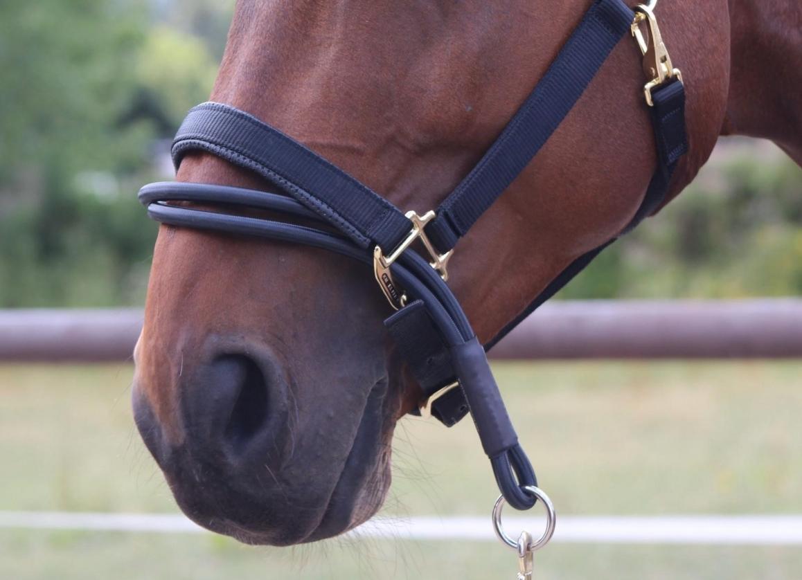 KM ELITE Ezyloader Headcollar Adaptor