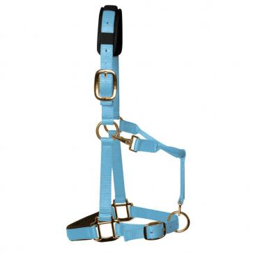 KM Elite Padded Headcollar Baby Blue