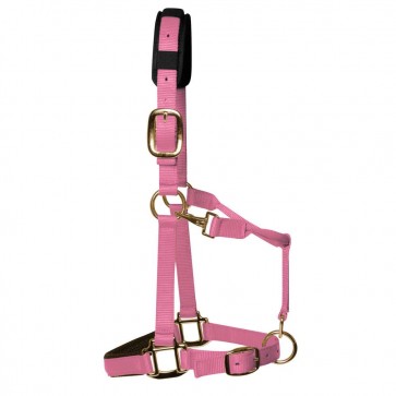 KM Elite Padded Headcollar Baby Pink