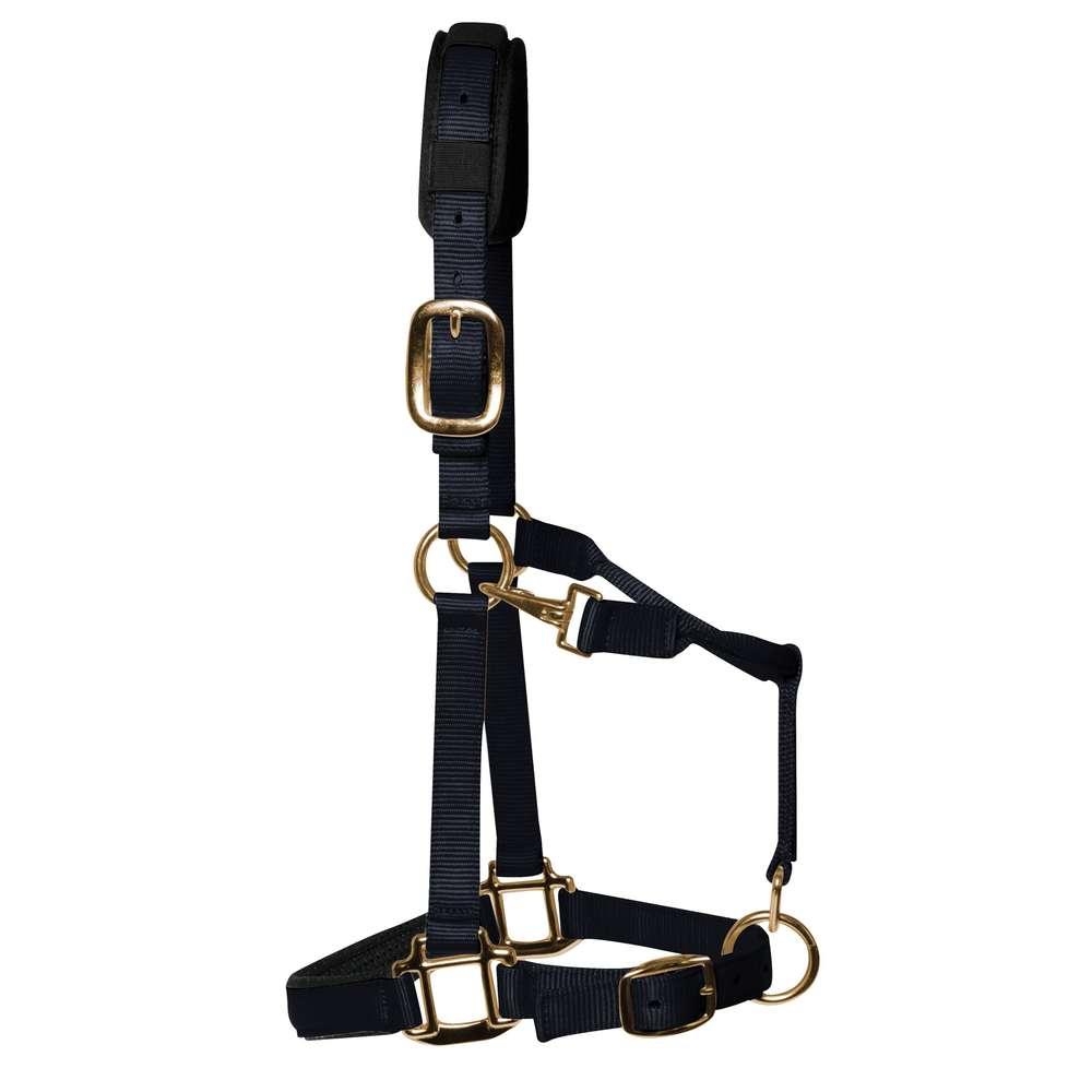 KM Elite Padded Headcollar Black