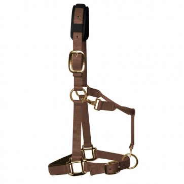 KM Elite Padded Headcollar Brown