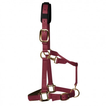 KM Elite Padded Headcollar Burgundy