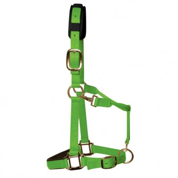 KM Elite Padded Headcollar Hot Green