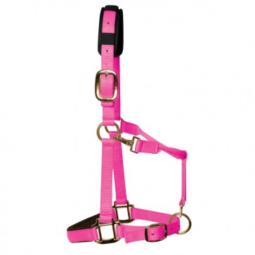 KM Elite Padded Headcollar Hot Pink