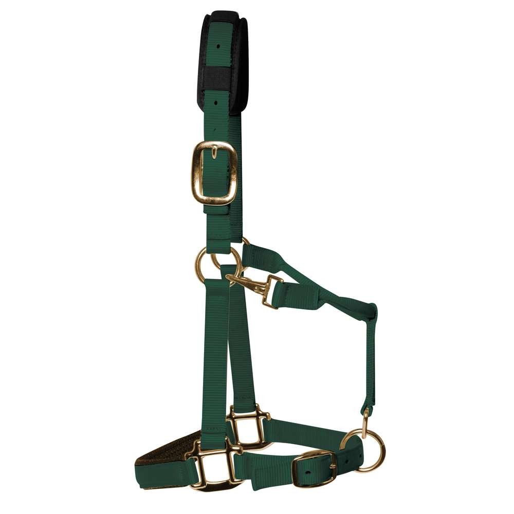 KM Elite Padded Headcollar Hunter Green