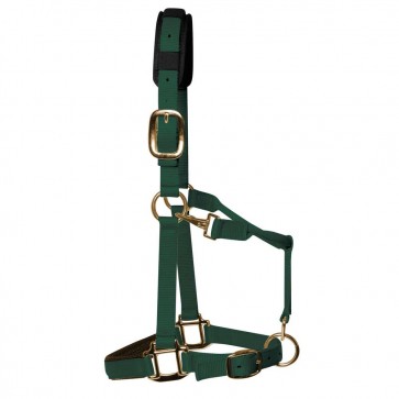 KM Elite Padded Headcollar Hunter Green