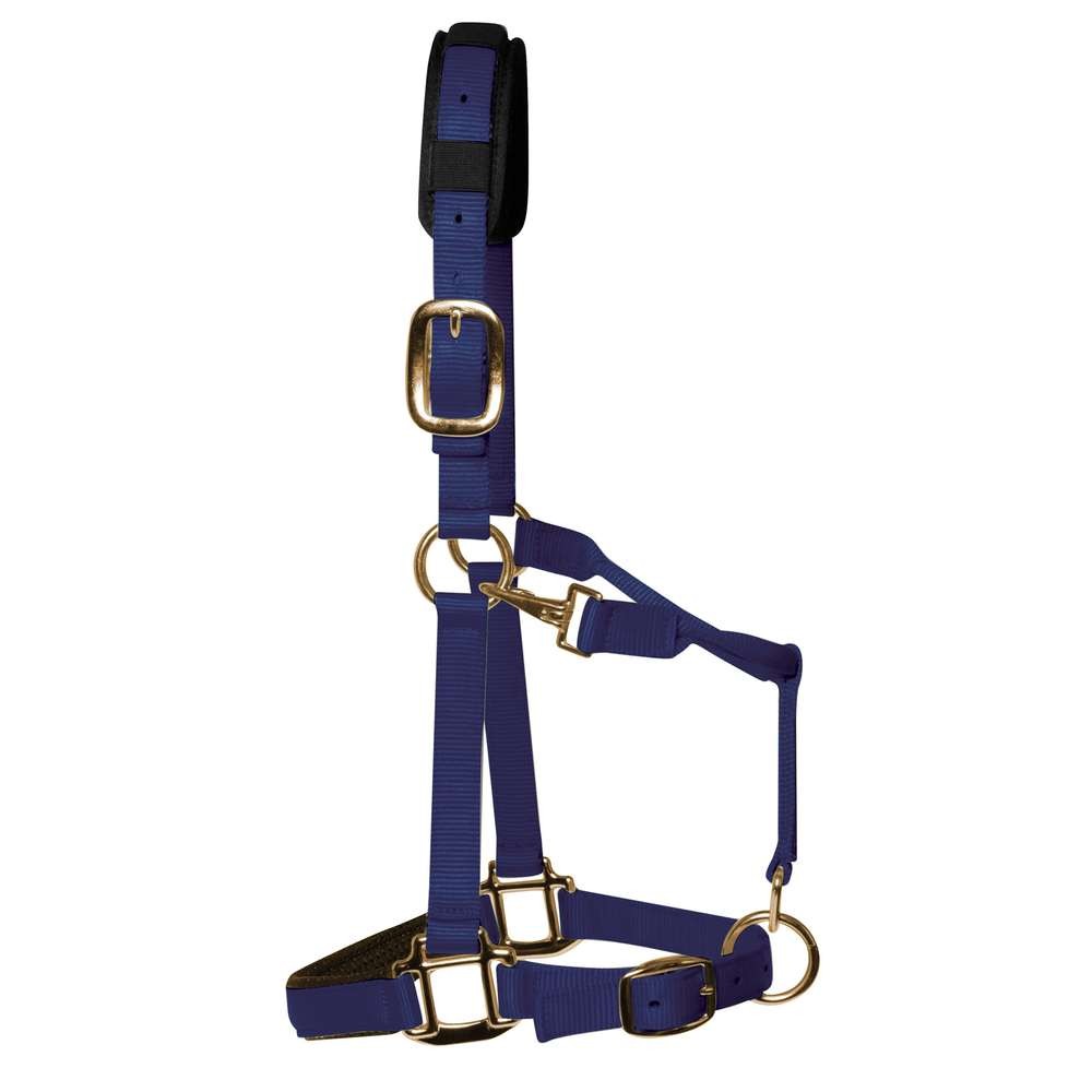 KM Elite Padded Headcollar Navy