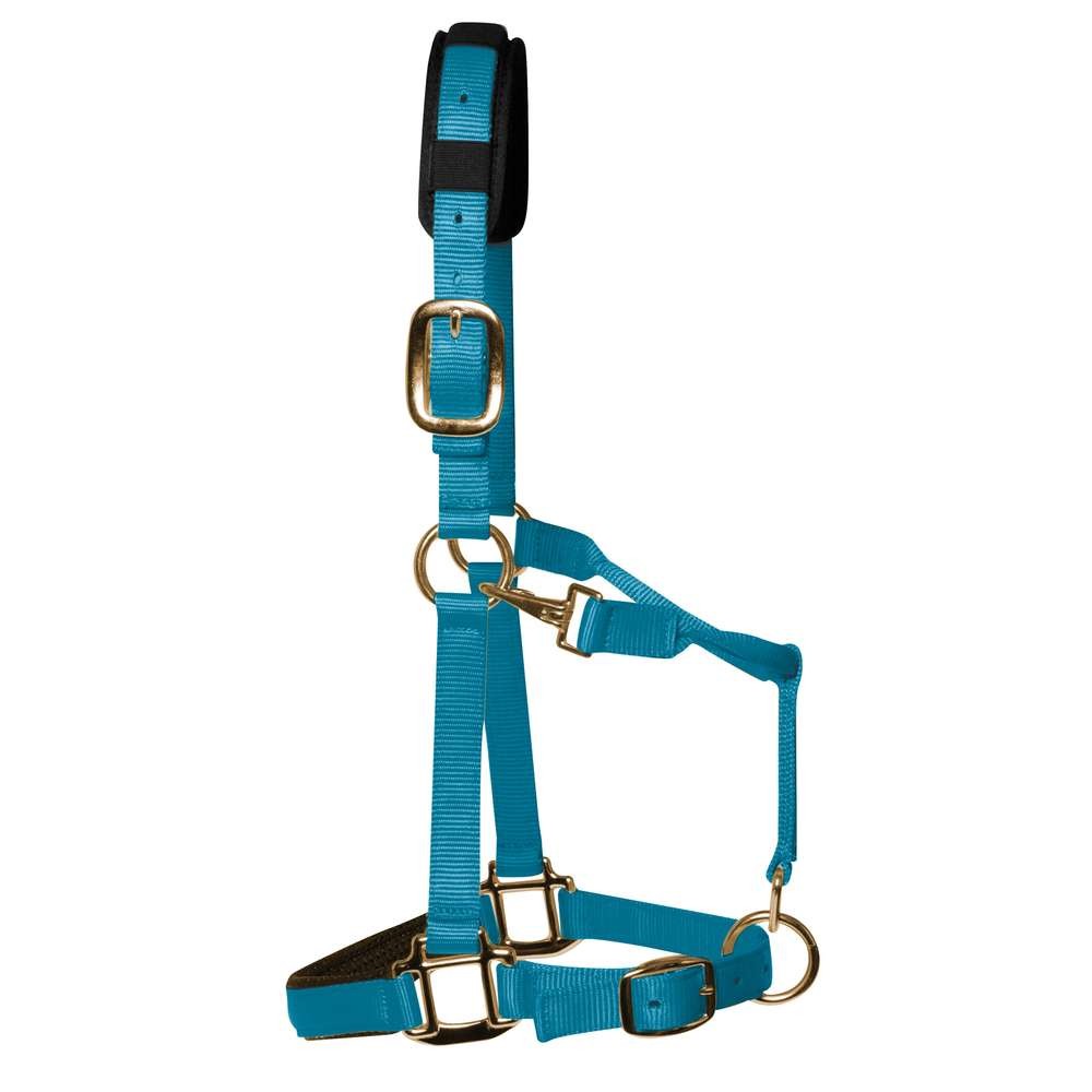 KM Elite Padded Headcollar Pastel Blue