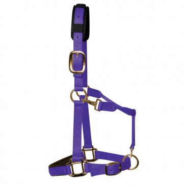 KM Elite Padded Headcollar Purple