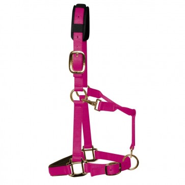 KM Elite Padded Headcollar Raspberry