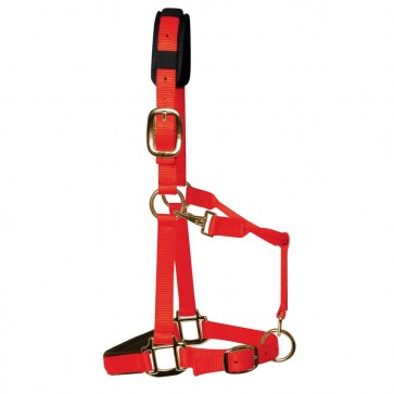 KM Elite Padded Headcollar Red