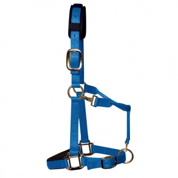 KM Elite Padded Headcollar Teal