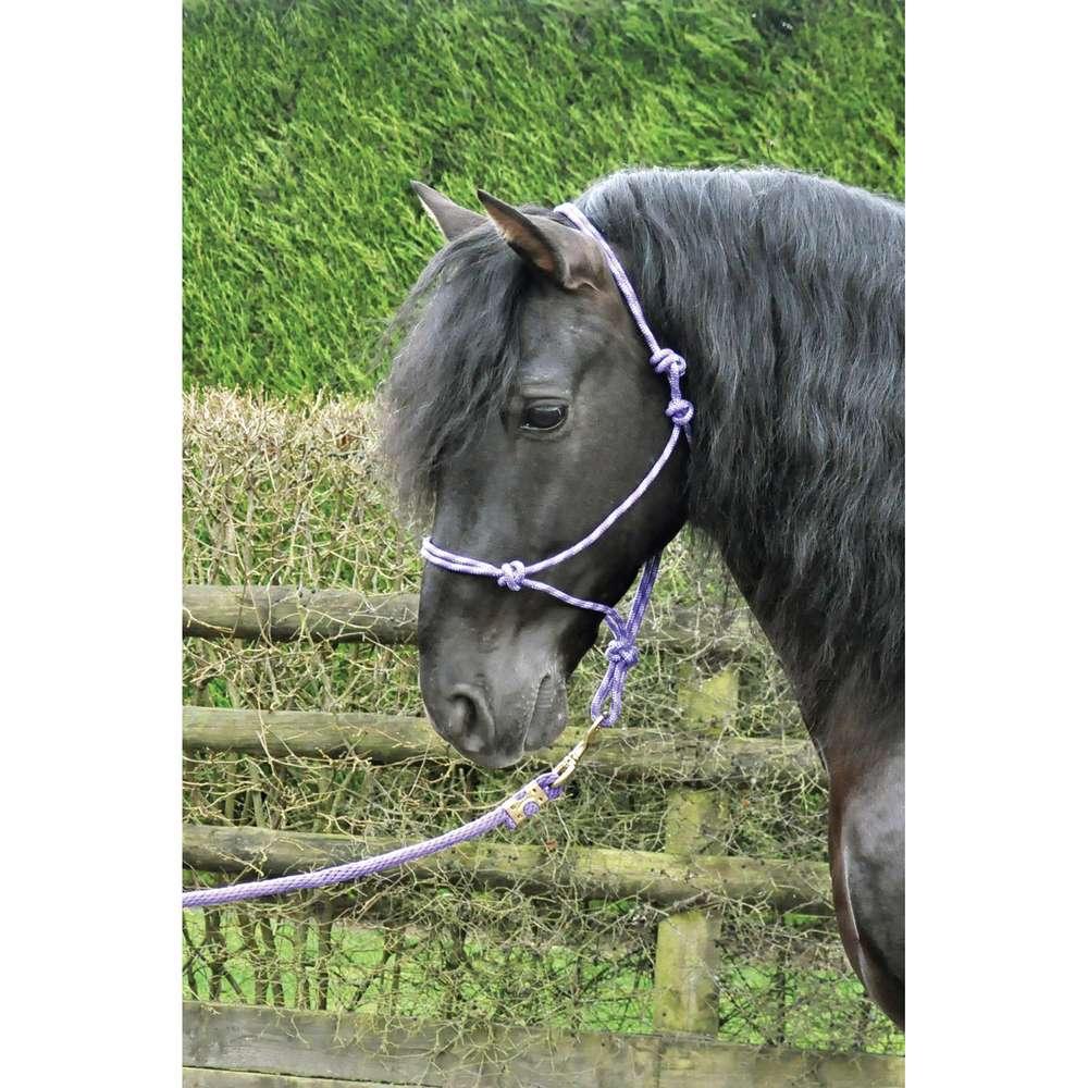 KM Elite Rope Halter Black/Grey