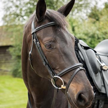 KM Elite Training Bridle Black