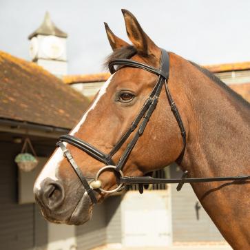 KM Elite Training Bridle Havana