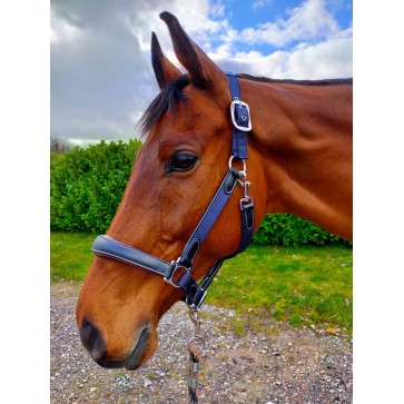 Leather Webbing Headcollar Navy Contrast Black Leather