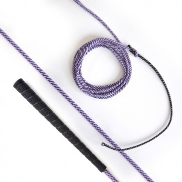 Lunge Whip Purple