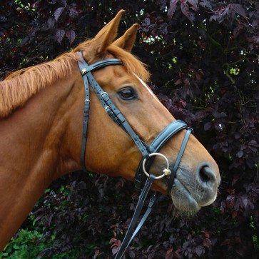Peter Horobin Contrast Stitch Bridle