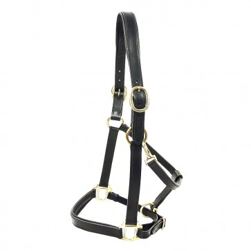 Primera Padded Leather Headcollar Black