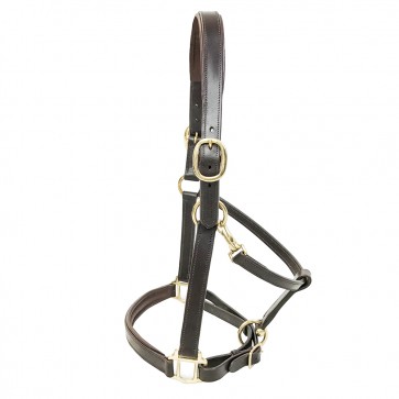 Primera Padded Leather Headcollar Havana