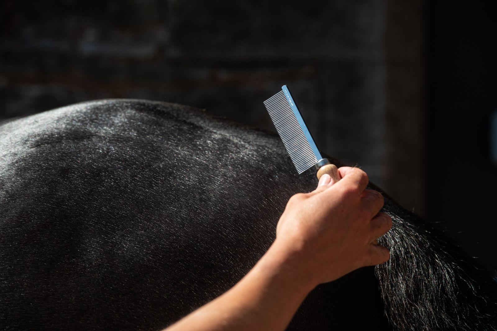 Smart Grooming Hunter Marking Comb