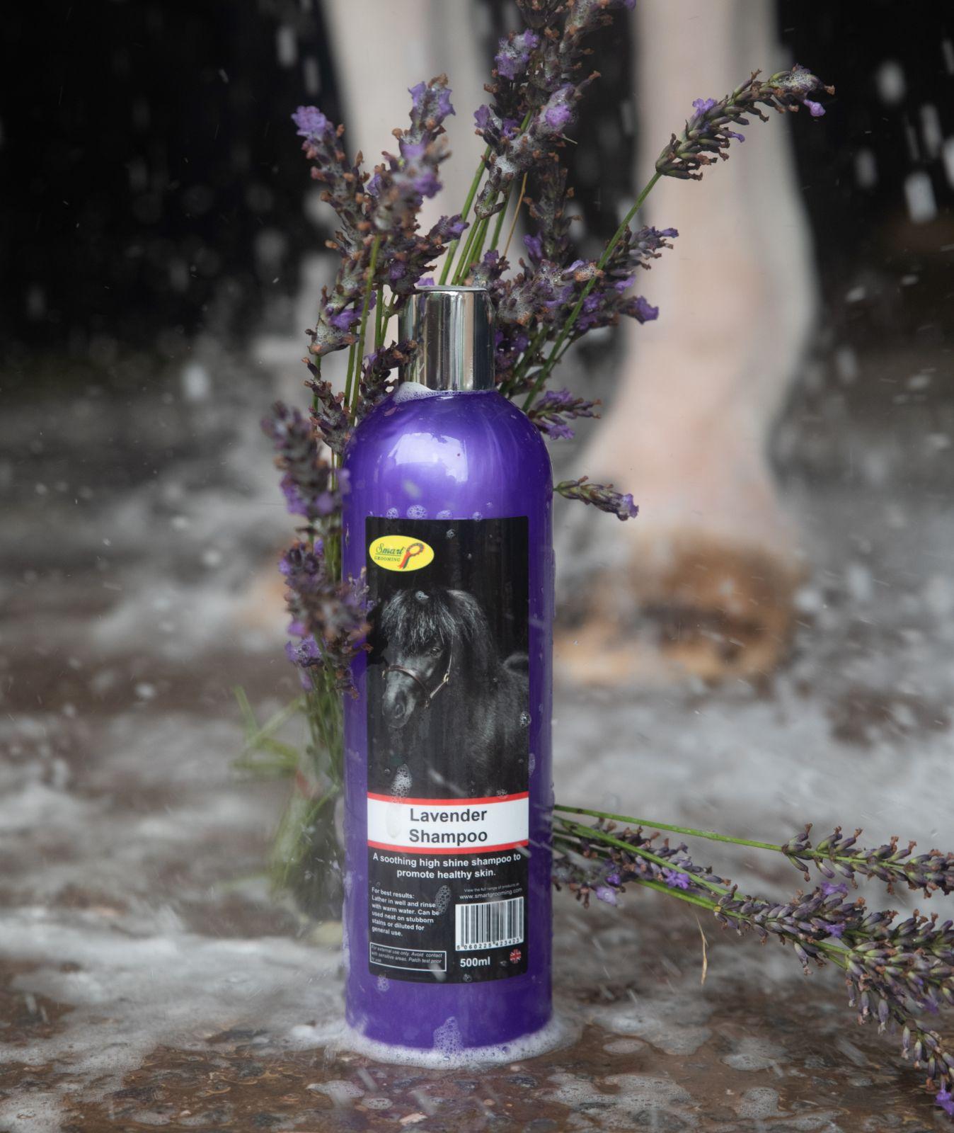Smart Grooming Lavender Shampoo