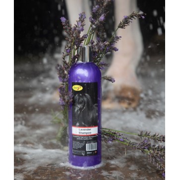 Smart Grooming Lavender Shampoo